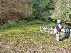 Site of Brook Bungalow, Nant Gwyddon Valley, Abercarn, November 2011